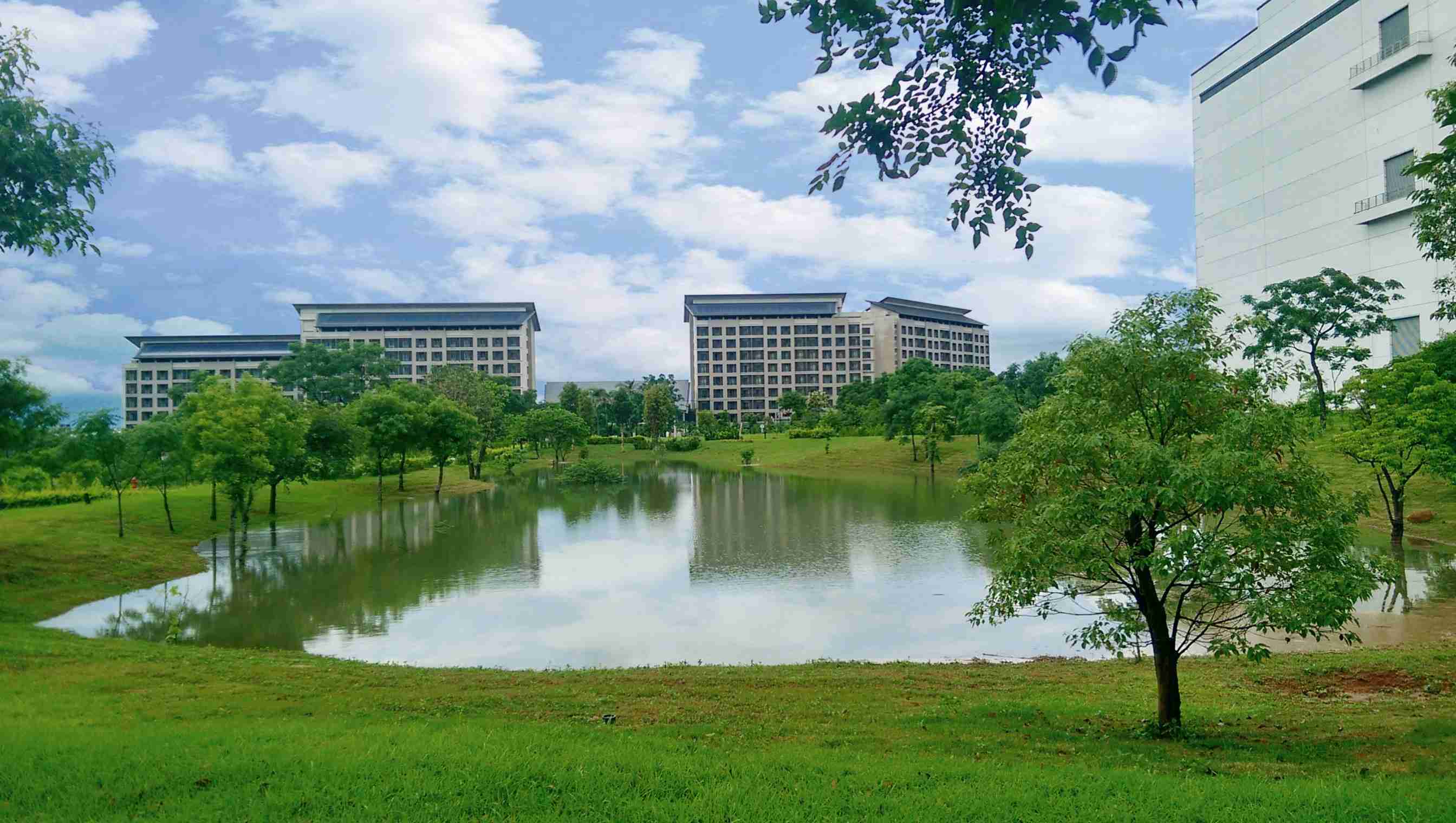 Wepay响应国际倡议生物多样性趋势，，，首次发布TNFD自然相关财务揭露报告书，，，擘划及开展Wepay生物多样性政策之承诺，，逐步迈向与自然和谐共生